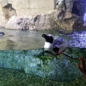 Meet your Posher, Stacey